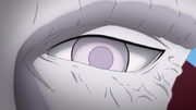 Isshiki's Byakugan.