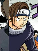 Shinobis de Tsukigakure