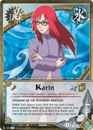 Carta de Karin.