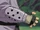 Głośnik Rozbrzmiewającego Echa