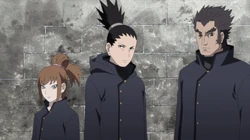 Hinoko, Shikamaru e Rou in missione
