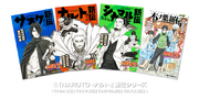 Naruto Shinden Novels