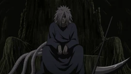 Az idős Madara
