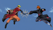 Naruto vs Animal Path