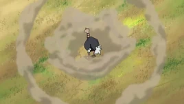 Ostrich Meteor blast