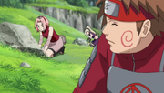 Sakura y el resto de sus compañeros buscan hierbas medicinales