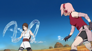 Ameno vs Sakura