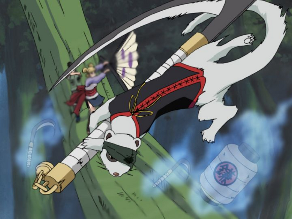 temari.naru　5点　７／4 Temari | Narutopedia | Fandom