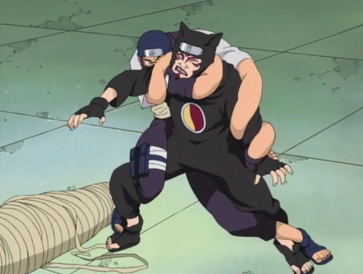 Soft Physique Modification | Narutopedia | Fandom