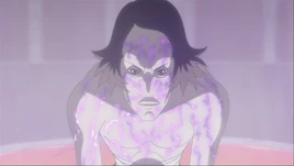 The markings on Mukade's body.