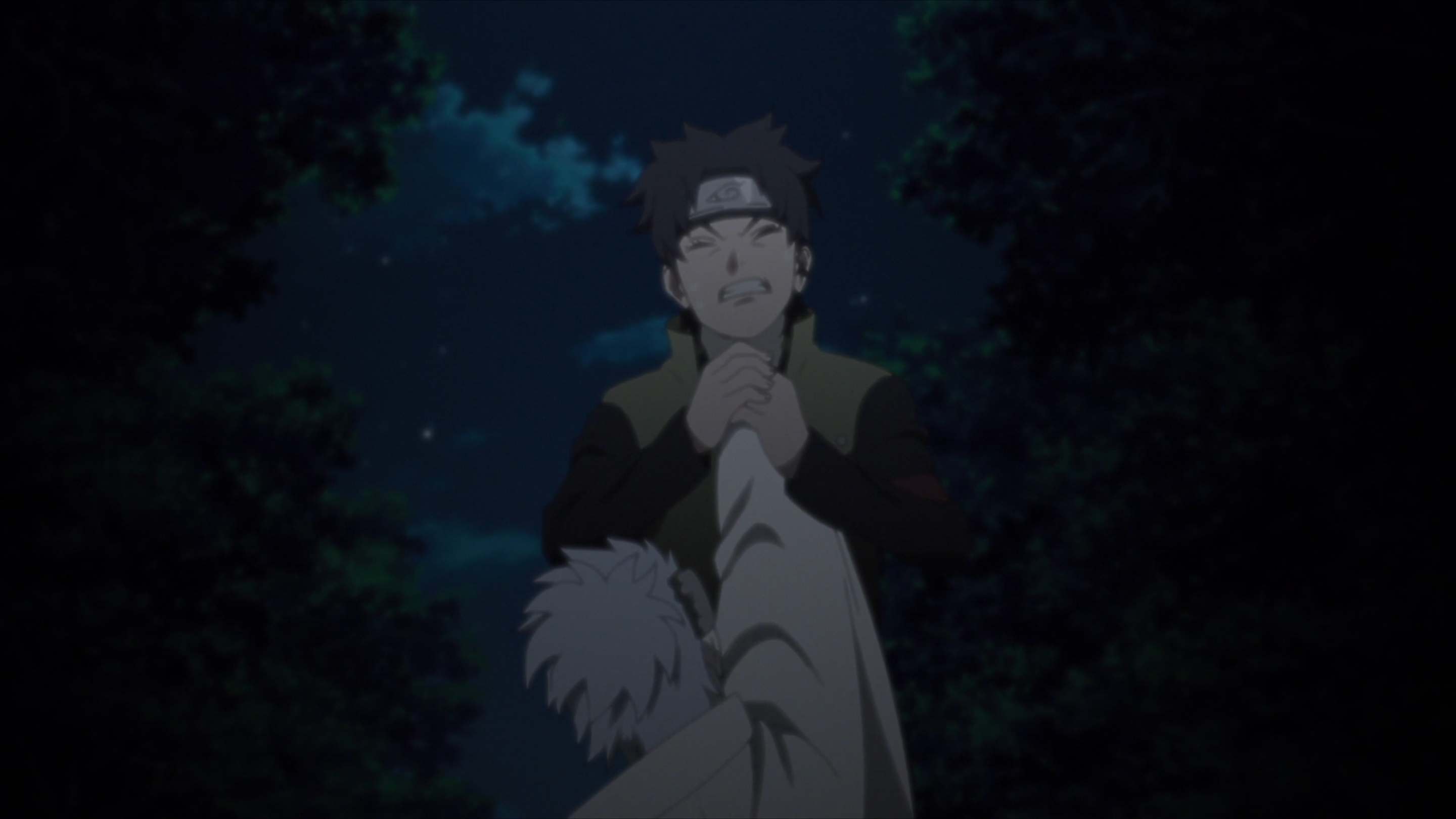 Mirai Sarutobi Naruto Wiki Fandom