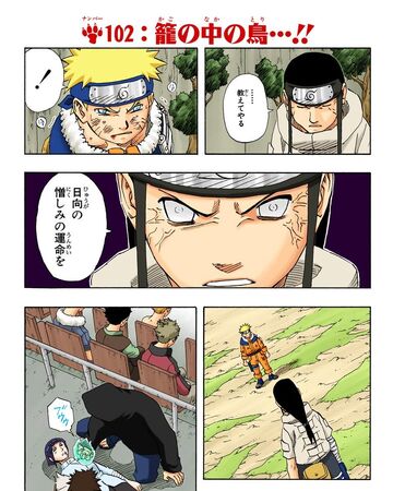 Ptica V Kletke Naruto Viki Fandom