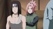 Sakura cura las heridas del falso Neji