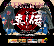 Naruto Shinden.png