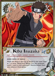 Kiba Inuzuka