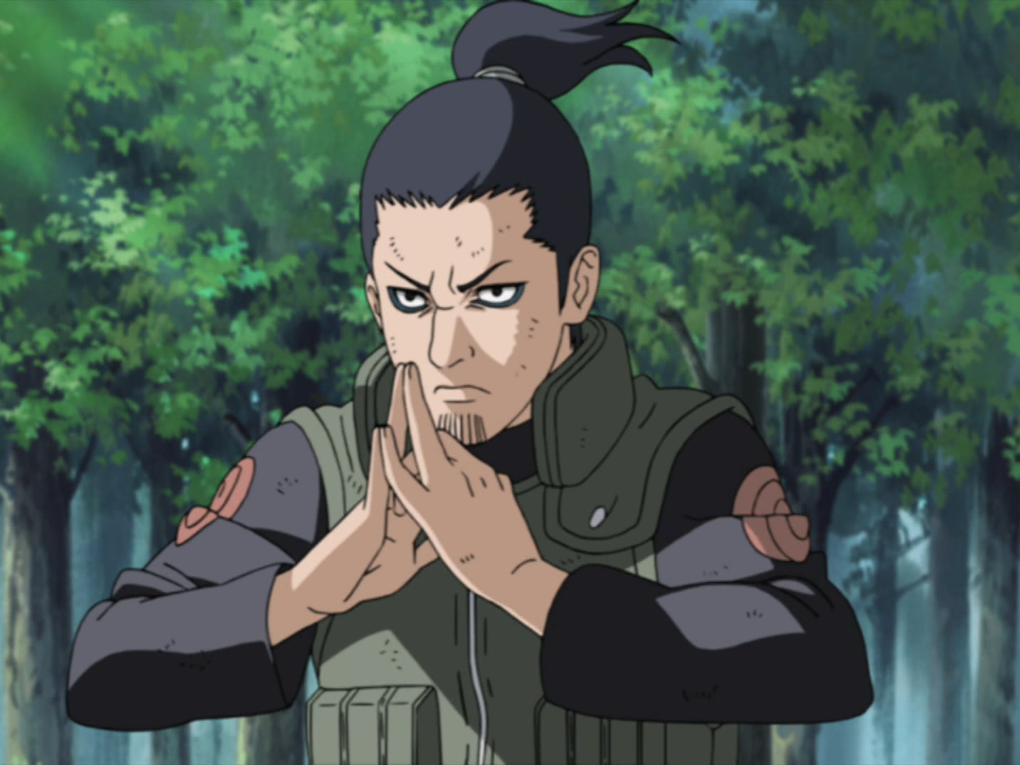 Shikamaru Nara, Narutopedia