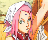 A aparência de Sakura durante Boruto: Naruto Next Generations.