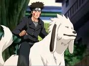 Akamaru junto a Kiba en la segunda parte