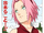 Naruto Capitolo 269