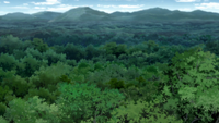 File:The Cursed Forest.png