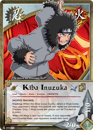 Kiba Inuzuka.