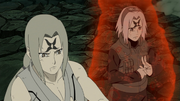 Sakura e Tsunade usando o Byakugo no In (Anime)