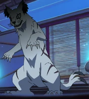 A aparência completa de Nekomata.