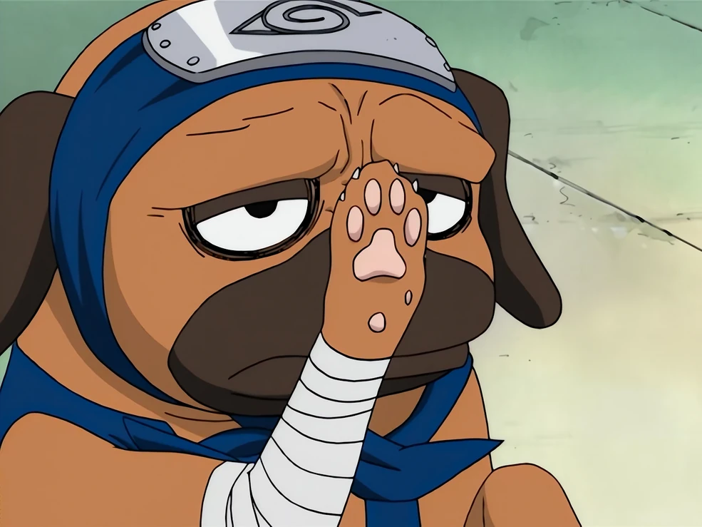 Pakkun | Narutopedia | Fandom