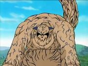 One-tail.jpg