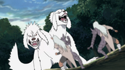 Kiba and Akamaru transform