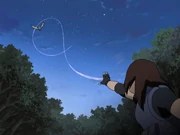 Chakra Rope (チャクラの縄, Chakura no Nawa): The user extends their chakra into a binding rope that cannot be cut.