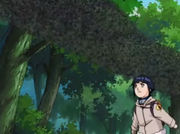 Hinata localiza os inimigos