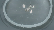 Gurenvsisonade5.png