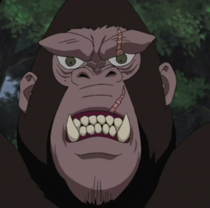 King | Naruto Wiki | Fandom