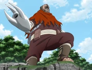 Abbigliamento ninja di garo