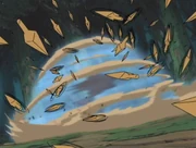 File:Neji's Rotation.PNG