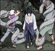 סנ'אייג'אשו.