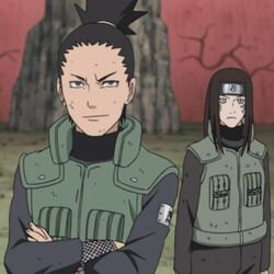 IwaDenki, Naruto Couples Wiki