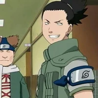 Shikacho Naruto Couples Wiki Fandom Enjoy, like and subscribe for more. shikacho naruto couples wiki fandom