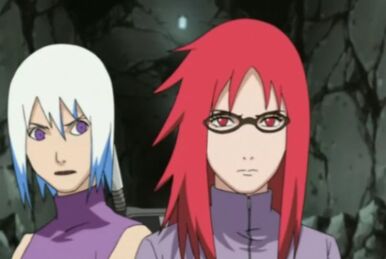 Sarada Uchiha/DHW, Naruto Fanon Wiki