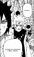 Naruto reminding Sasuke of the bridge scene