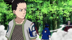 ShikaTema/Galleries, Naruto Couples Wiki, Fandom