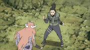 Shikamaru vs tayuya