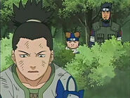 Shikamaru, Choji, Asuma