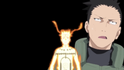 ShikaTema/Galleries, Naruto Couples Wiki, Fandom