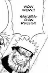 Sakura rules.png