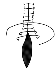 KG2