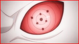 Raido XRinnegan