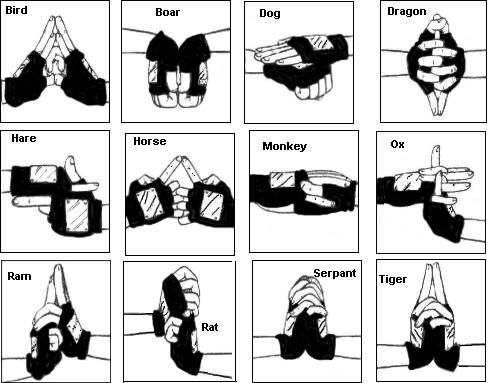 lightning style jutsu hand signs