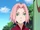 Sakura Haruno (C1000x)